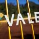 conselho-da-vale-termina-reuniao-sem-decisao-sobre-futuro-do-ceo;-marcara-novo-encontro