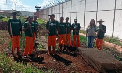 parceria-entre-agepen-e-senar-promove-educacao-profissionalizante-para-internos-da-penitenciaria-de-dourados-–-folha-de-dourados-–-noticias-de-dourados-ms-e-regiao