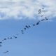 primeira-semana-do-mes-tem-previsao-de-calor-e-pancadas-de-chuva-em-ms-–-folha-de-dourados-–-noticias-de-dourados-ms-e-regiao