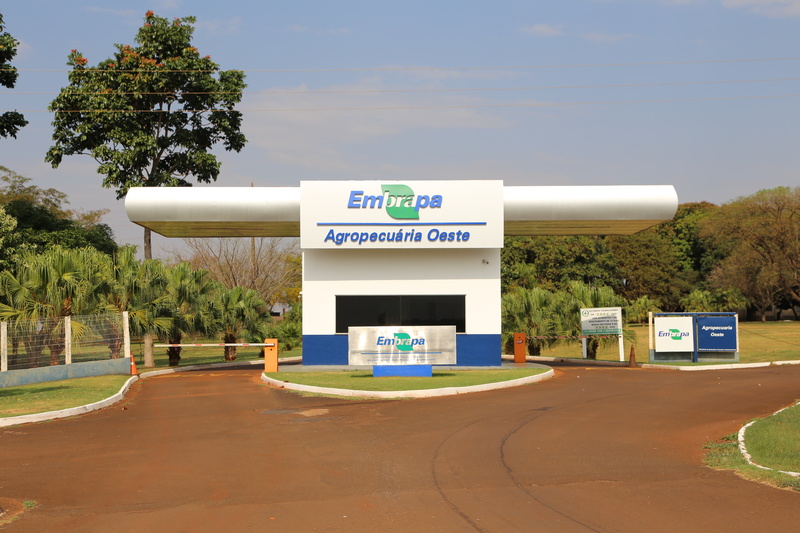 diversificacao-da-matriz-economica-de-ms-–-desafios-para-as-instituicoes-de-pesquisa-–-folha-de-dourados-–-noticias-de-dourados-ms-e-regiao