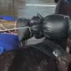 mais-de-10-mil-animais-ja-foram-resgatados-das-enchentes-do-rs