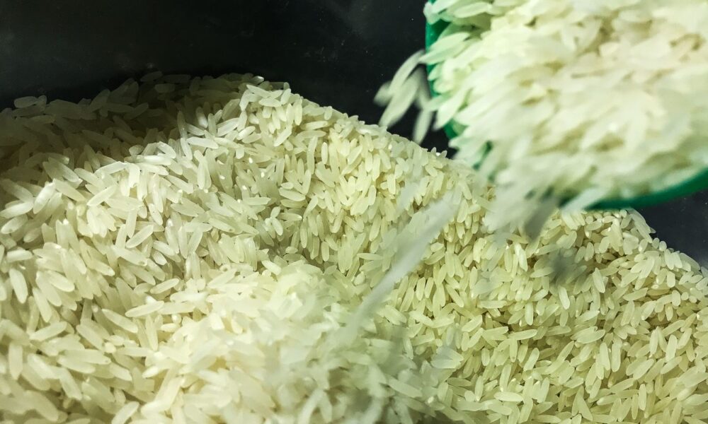 conab-suspende-leilao-para-compra-de-104-mil-toneladas-de-arroz-polido
