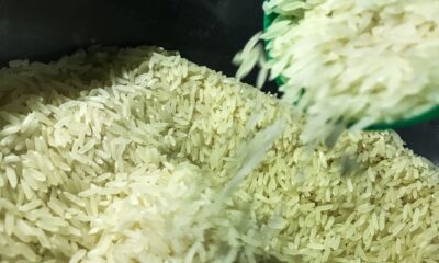 conab-suspende-leilao-para-compra-de-104-mil-toneladas-de-arroz-polido