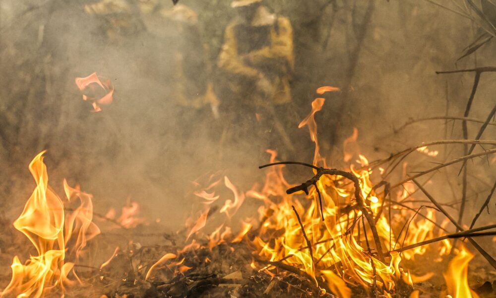 combate-a-incendios-pode-ser-feito-por-pilotos-e-avioes-estrangeiros 