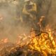 combate-a-incendios-pode-ser-feito-por-pilotos-e-avioes-estrangeiros 