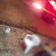 video:-maconha-apreendida-em-caminhonete-apos-perseguicao-da-prf-seria-avaliada-em-r$-11-milhoes
