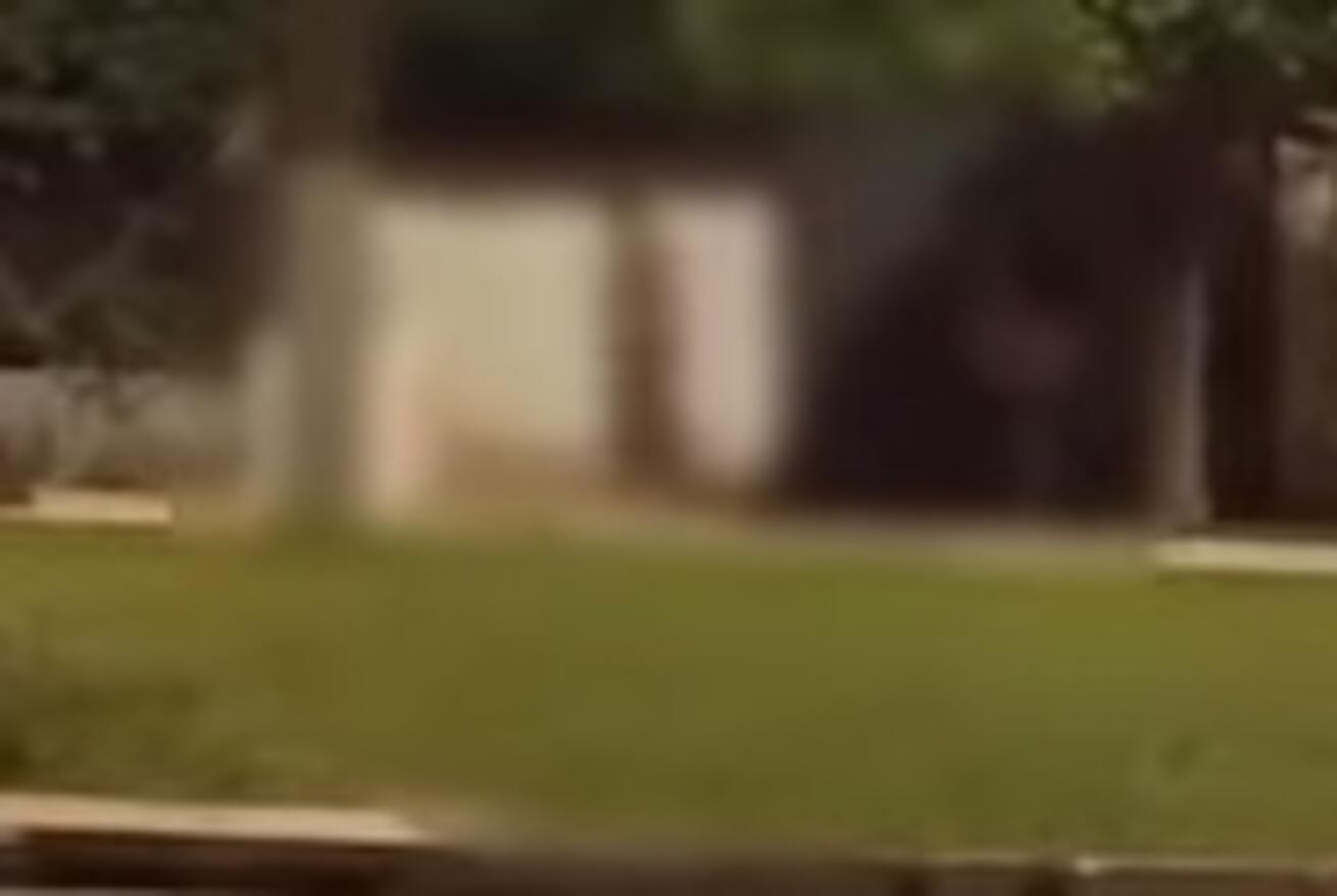video:-homem-e-flagrado-andando-pelado-na-rua