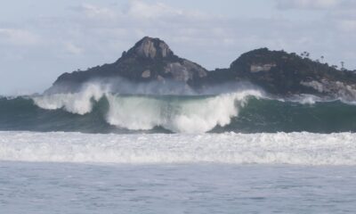 jovens-de-9-paises-participam-de-curso-de-pesquisas-oceanicas-no-rio