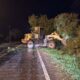 temporal-com-fortes-ventos-derruba-arvores-em-bonito