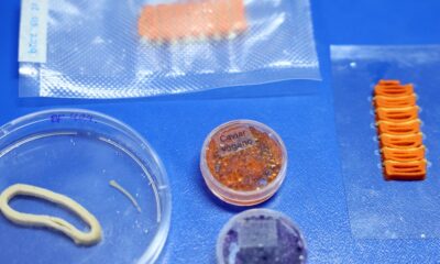 embrapa-produz-em-laboratorio-salmao,-caviar-e-aneis-de-lula-veganos