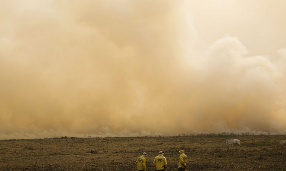 governo-quer-plano-de-controle-de-desmatamento-para-todos-os-biomas