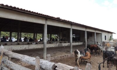 mais-de-2,8-mil-pessoas-deixam-trabalho-analogo-a-escravidao