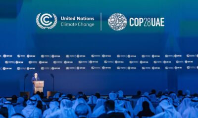 brasil-busca-protagonismo-na-cop-apos-reduzir-desmatamento-na-amazonia