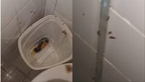 video:-passageiro-quase-passa-mal-em-banheiro-infestado-de-baratas-no-julio-de-castilho