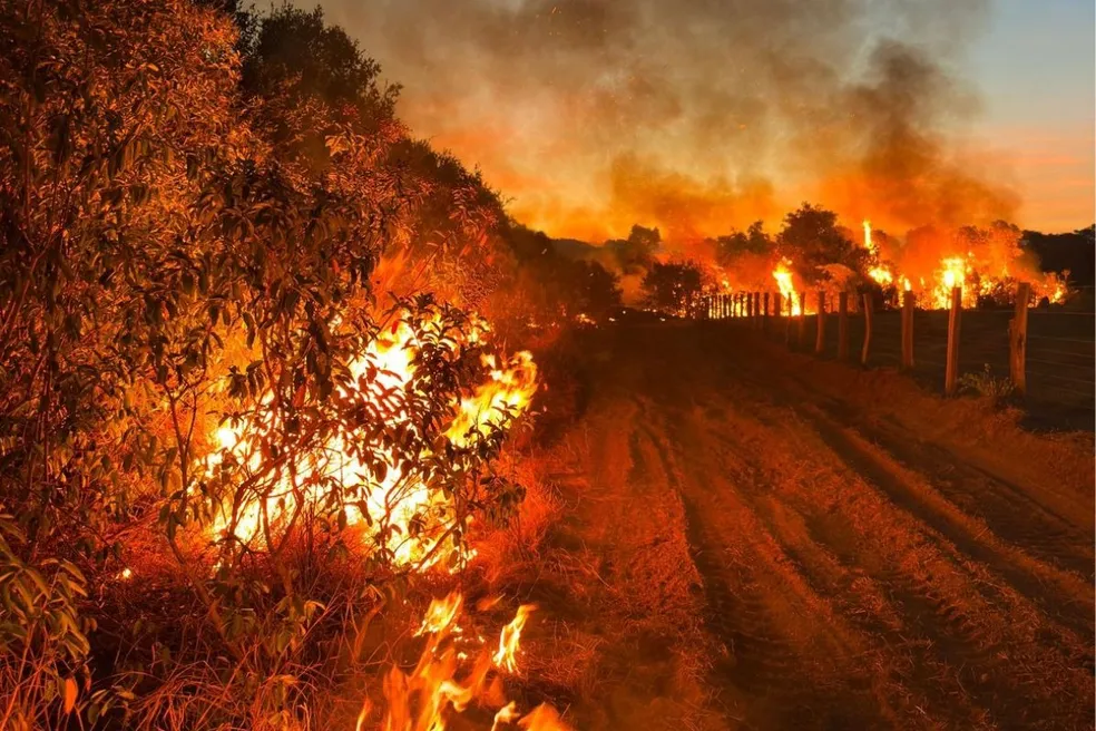 areas-queimadas-no-pantanal-de-mato-grosso-do-sul-cresceram-211%-neste-ano-–-folha-de-dourados-–-noticias-de-dourados-ms-e-regiao