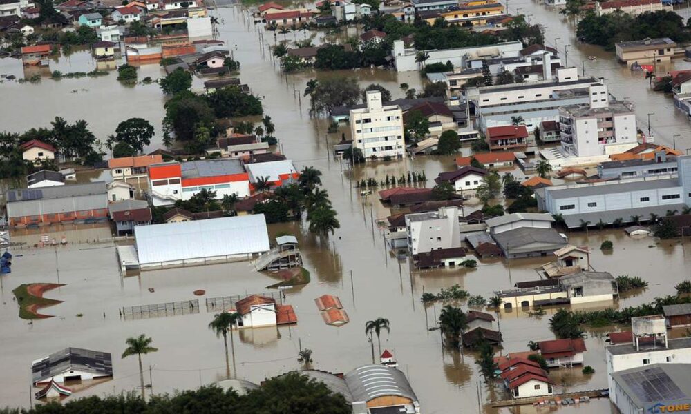 retrospectiva-2023:-produtores-querem-recuperar-areas-atingidas-no-sul