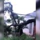 video:-temporal-causa-queda-de-arvore-que-derruba-muro-e-padrao-de-energia-na-rua-vitorio-zeolla