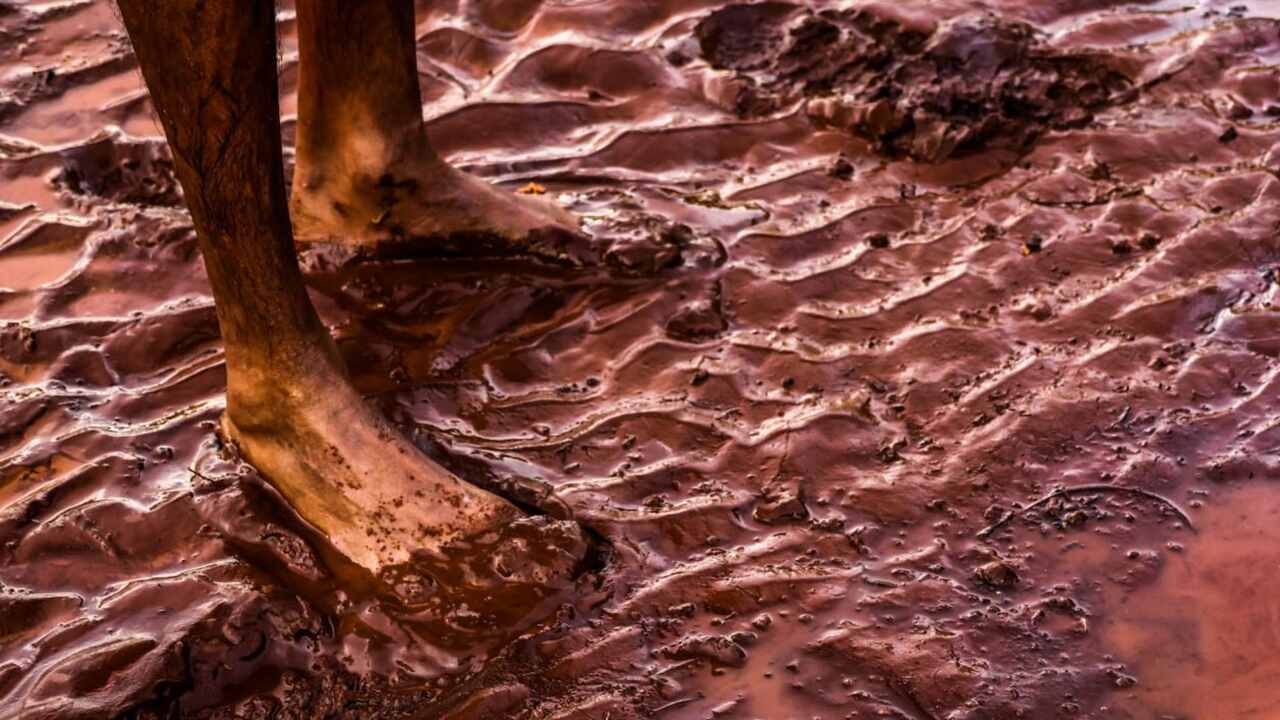 familias-do-serraville-enfrentam-enxurrada-invadindo-residencias-a-cada-chuva-forte:-'estamos-jogados-aqui'