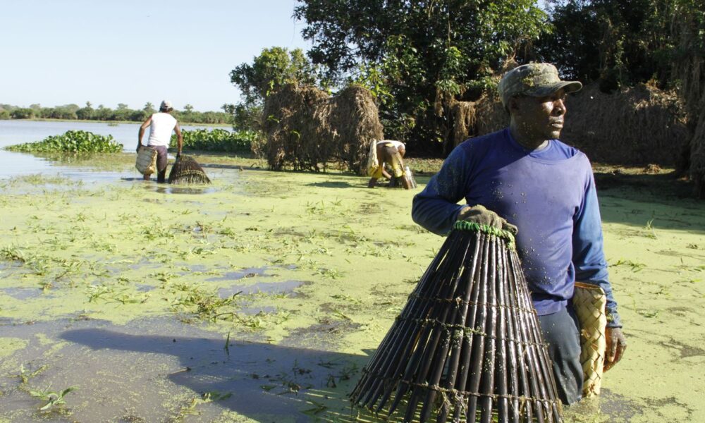 servidao-e filme-sobre-resistencia,-diz-diretor-de-documentario