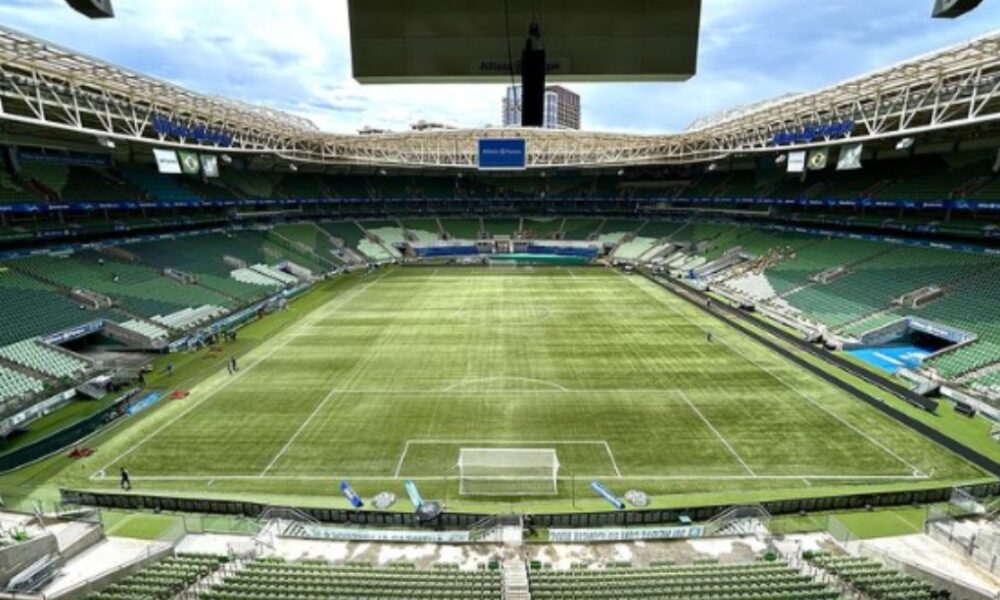 palmeiras-desafia-wtorre-e-diz-que-nao-joga-no-allianz-parque-enquanto-gramado-nao-for-arrumado