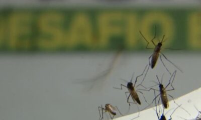 rio-de-janeiro-registra-mais-de-17-mil-casos-de-dengue-este-ano