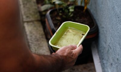 professores-de-sp-cobram-medidas-de-combate-a-dengue-nas-escolas