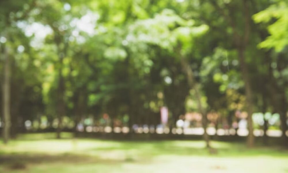 casal-e-preso-em-flagrante-fazendo-sexo-dentro-de-carro-em-praca-de-campo-grande