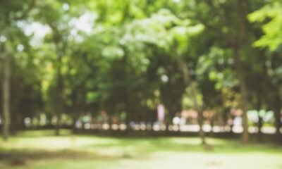 casal-e-preso-em-flagrante-fazendo-sexo-dentro-de-carro-em-praca-de-campo-grande