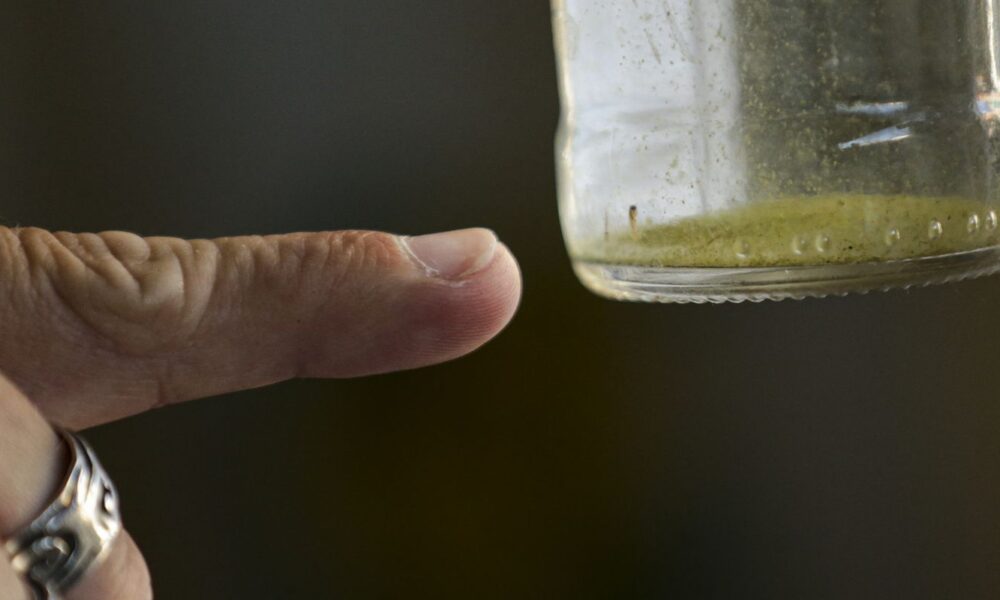 chega-a-27-o-numero-de-mortes-por-dengue-no-estado-de-sp