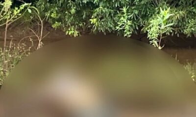 corpo-em-decomposicao-e-encontrado-por-pescador-em-ribas-do-rio-pardo