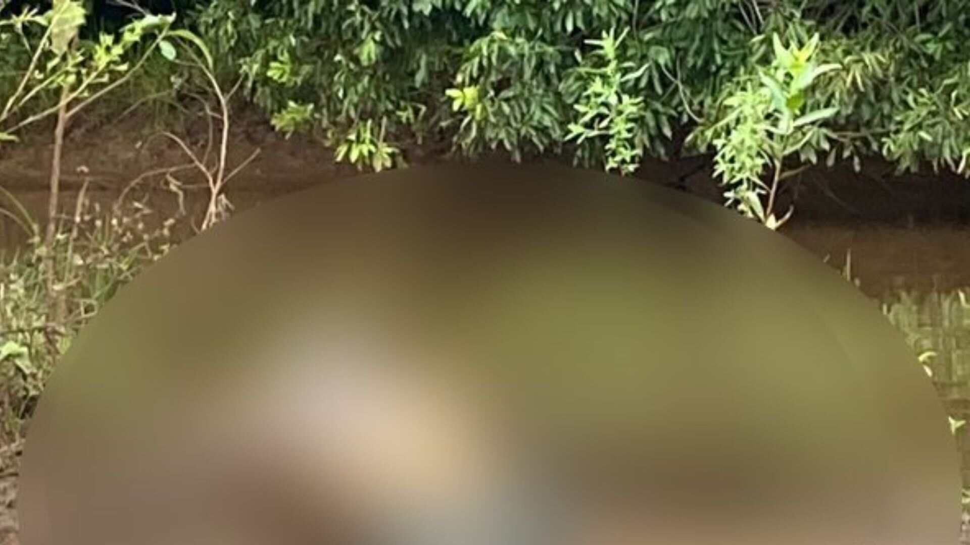 corpo-em-decomposicao-e-encontrado-por-pescador-em-ribas-do-rio-pardo