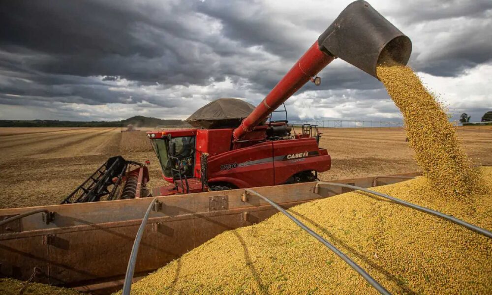 safra-2024-tera-producao-maior-de-algodao,-feijao,-arroz-e-trigo,-diz-ibge