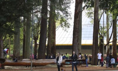 apos-pandemia,-cresce-distancia-entre-idh-de-paises-ricos-e-pobres