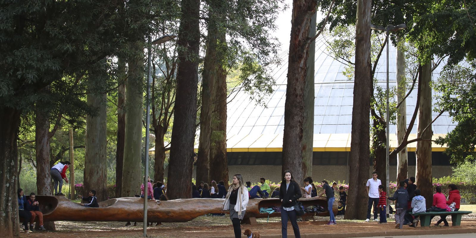 apos-pandemia,-cresce-distancia-entre-idhs-de-paises-ricos-e-pobres