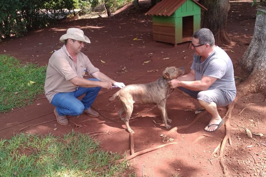 ccz-alerta-para-letalidade-da-raiva-e-disponibiliza-vacinacao-em-animais-domesticos-|-portal-prefeitura-de-dourados