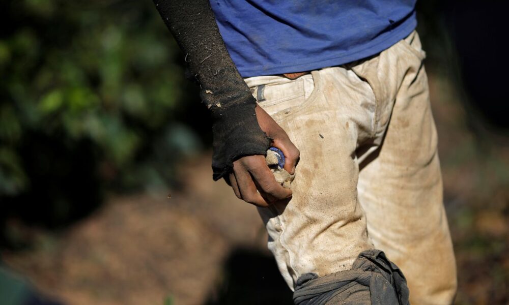 oit:-lucros-anuais-do-trabalho-forcado-chegam-a-us$-236-bilhoes-ao-ano