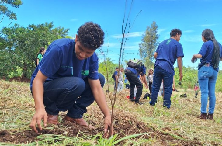 projeto-com-estudantes-de-escola-indigena-realiza-restauracao-de-vegetacao-em-dourados-–-folha-de-dourados-–-noticias-de-dourados-ms-e-regiao