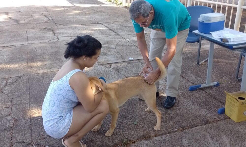 ccz-aplica-vacina-antirrabica-em-diversos-pontos-esta-semana-|-portal-prefeitura-de-dourados