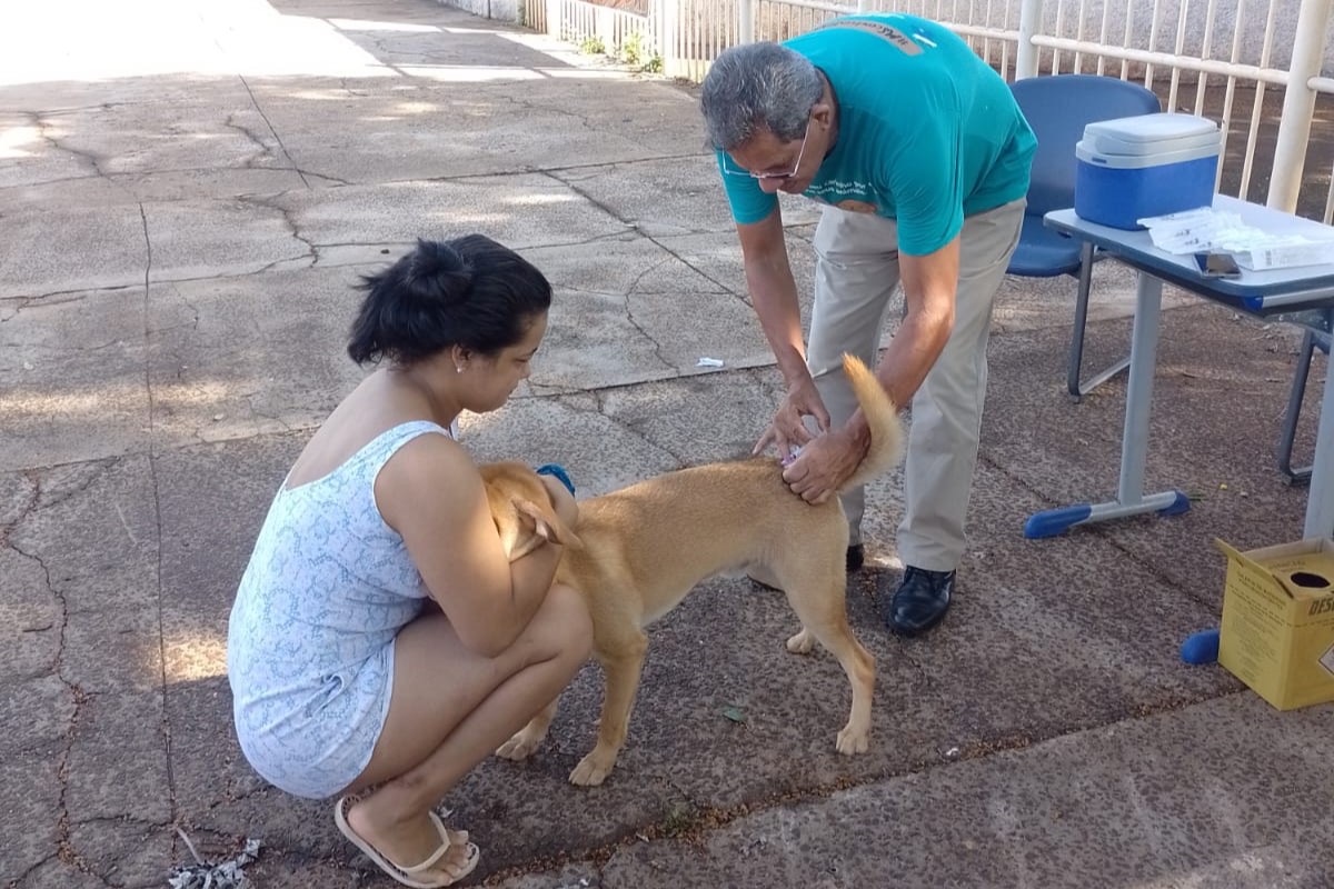 ccz-aplica-vacina-antirrabica-em-diversos-pontos-esta-semana-|-portal-prefeitura-de-dourados