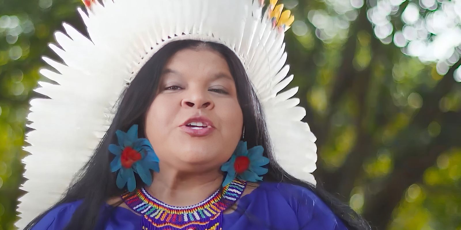 ministra-diz-que-indigenas-preservam-80%-da-biodiversidade-do-planeta