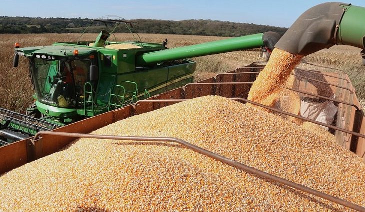 ausencia-de-chuvas-e-altas-temperaturas-terao-impacto-negativo-em-lavouras-de-milho-–-folha-de-dourados-–-noticias-de-dourados-ms-e-regiao