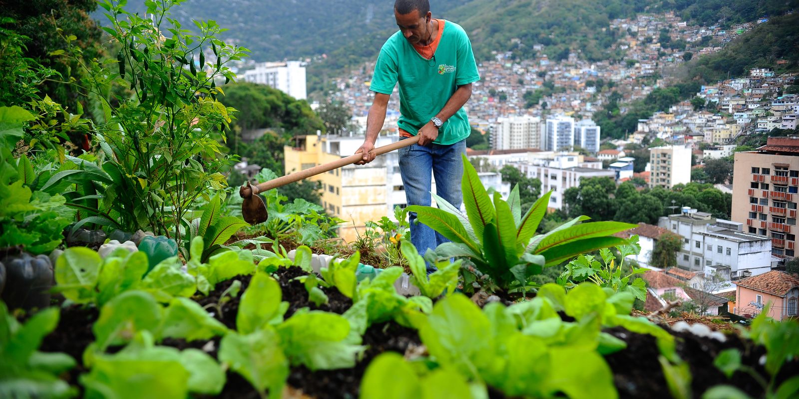 producao-local-pode-melhorar-alimentacao-em-centros-urbanos