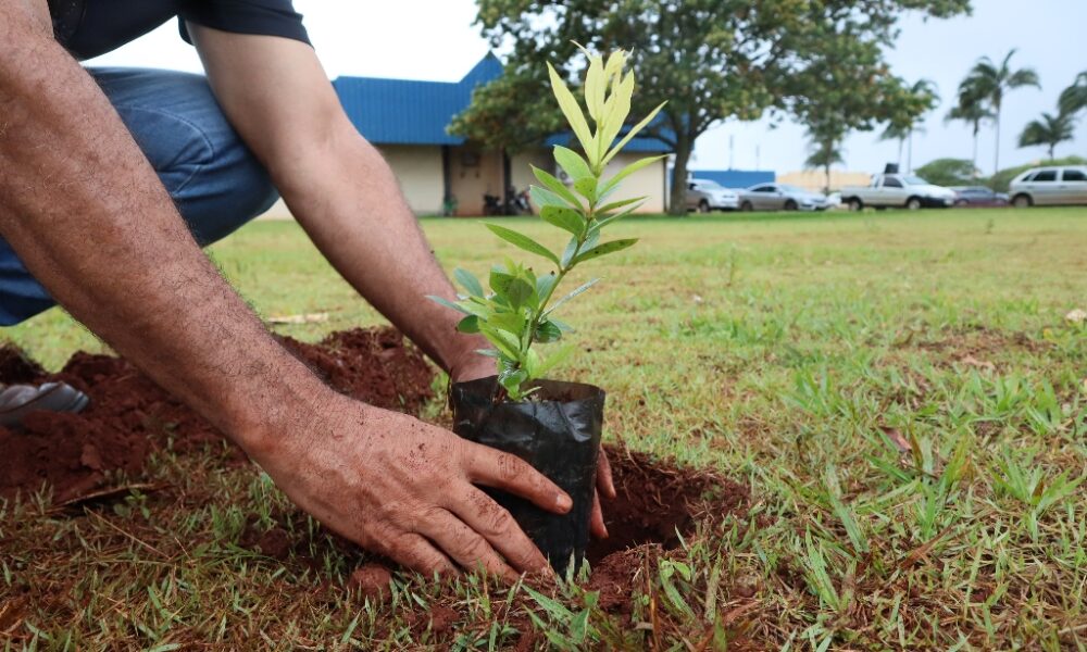 prefeitura-realiza-xxi-semana-do-meio-ambiente-com-foco-nas-mudancas-climaticas-|-portal-prefeitura-de-dourados