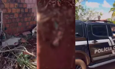 sidrolandia:-policia-civil-encontra-ossada-de-pintor-desaparecido-ha-um-ano-–-folha-de-dourados-–-noticias-de-dourados-ms-e-regiao