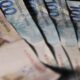 governo-libera-r$-2,9-bilhoes-bloqueados-do-orcamento