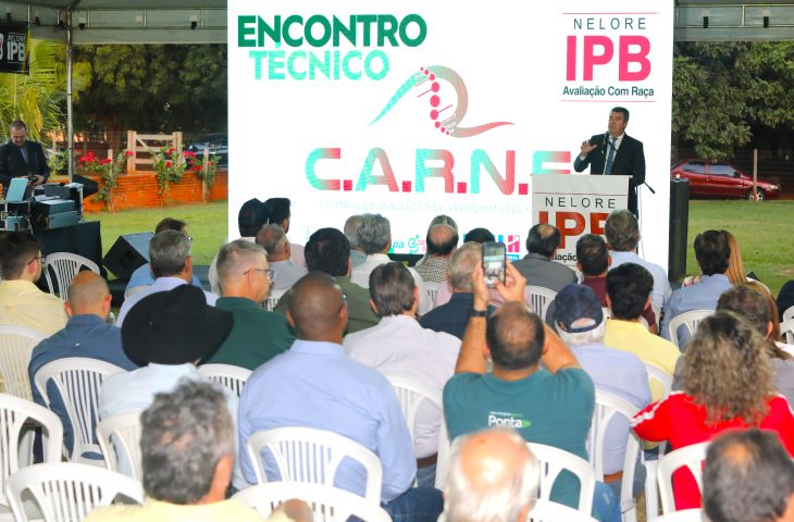pecuaria-de-ms-busca-na-genetica-o-aumento-na-produtividade-e-qualidade-da-carne-–-folha-de-dourados-–-noticias-de-dourados-ms-e-regiao
