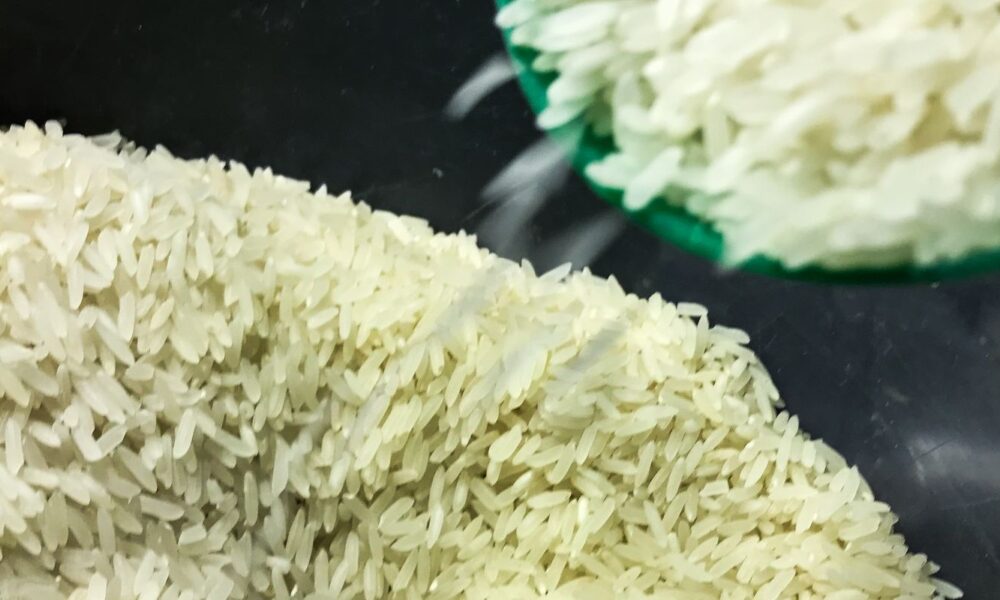 ministro-da-agricultura-promete-novo-e-mais-eficiente-leilao-do-arroz