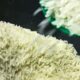 ministro-da-agricultura-promete-novo-e-mais-eficiente-leilao-do-arroz