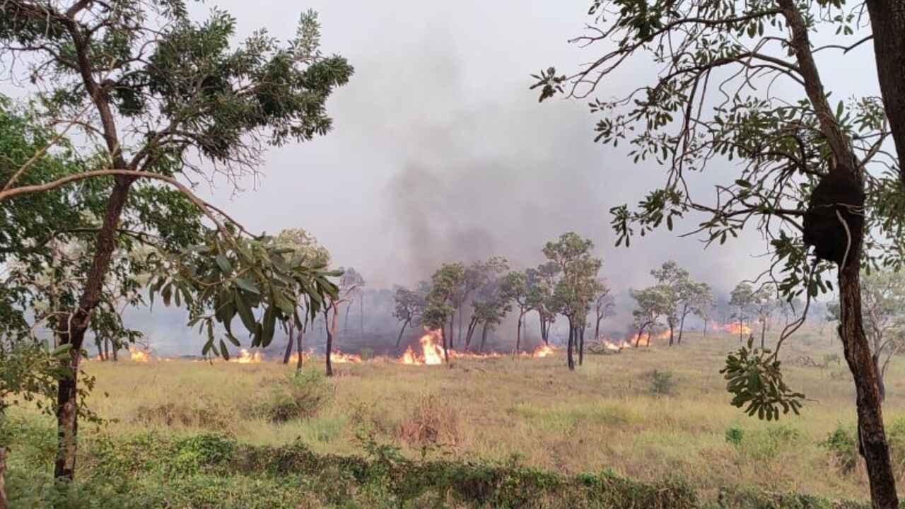 monitoramento-identifica-18-pontos-onde-comecaram-incendios-que-devastam-o-pantanal-de-ms