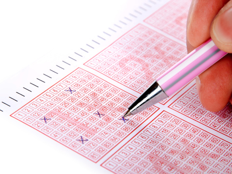 quina:-confira-as-cinco-dezenas-sorteadas-do-concurso-6.466